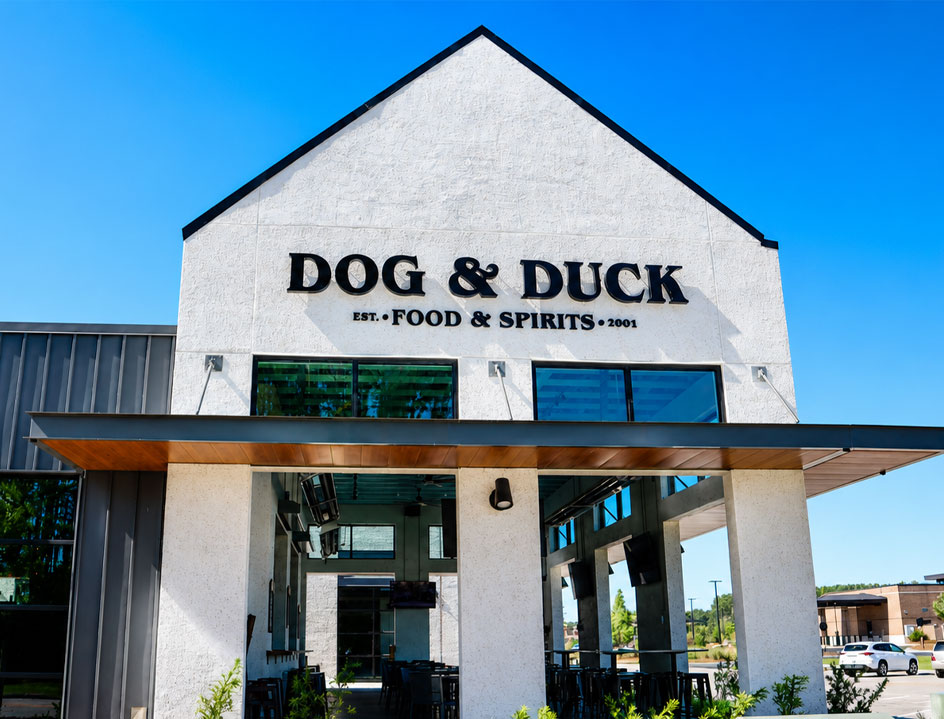 dog-and-duck